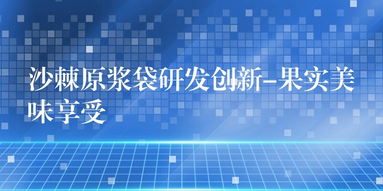 沙棘原浆袋研发创新-果实美味享受