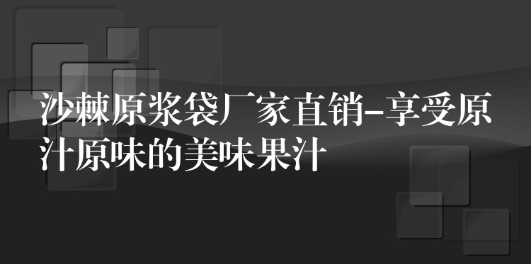 沙棘原浆袋厂家直销-享受原汁原味的美味果汁